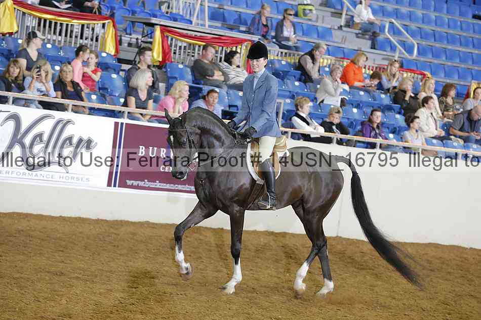 Proof 14usn_16795