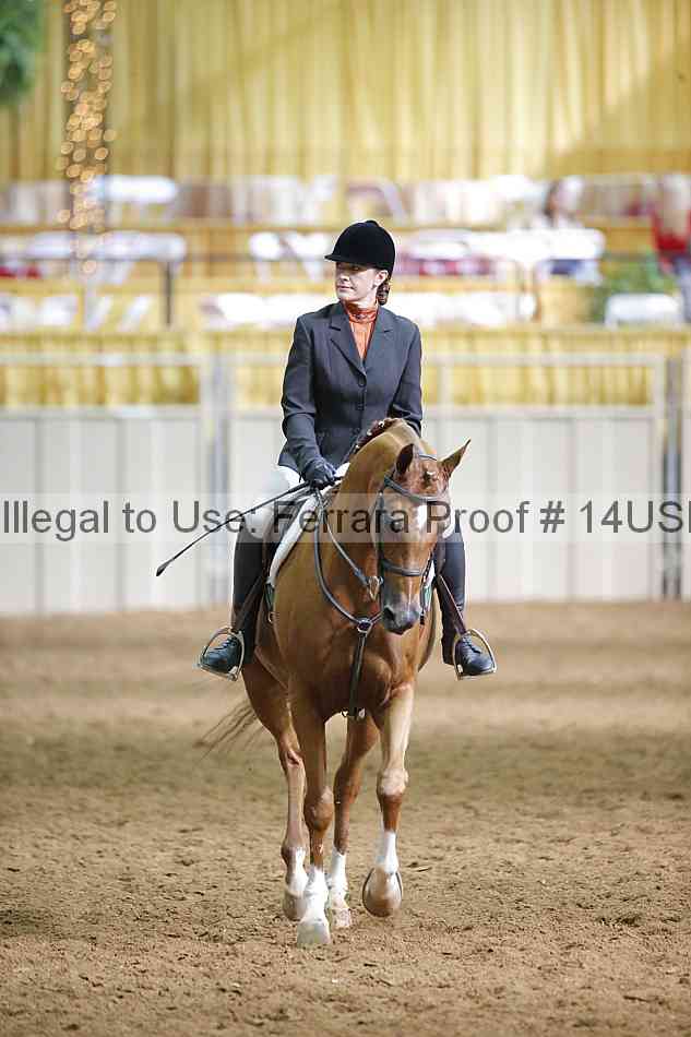 Proof 14usn_16796
