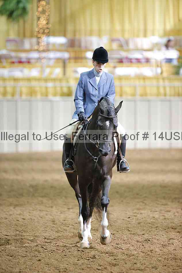 Proof 14usn_16803