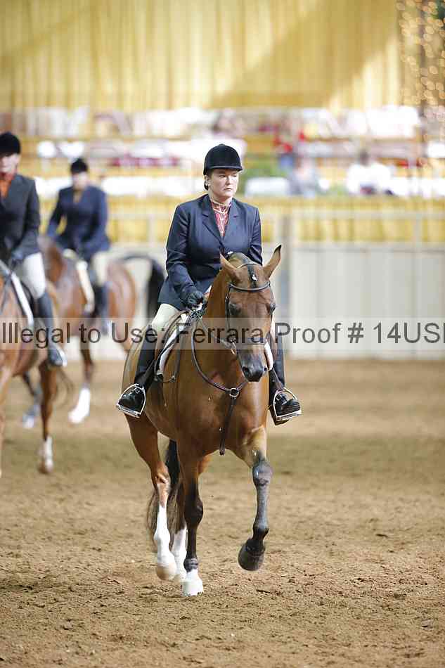 Proof 14usn_16824