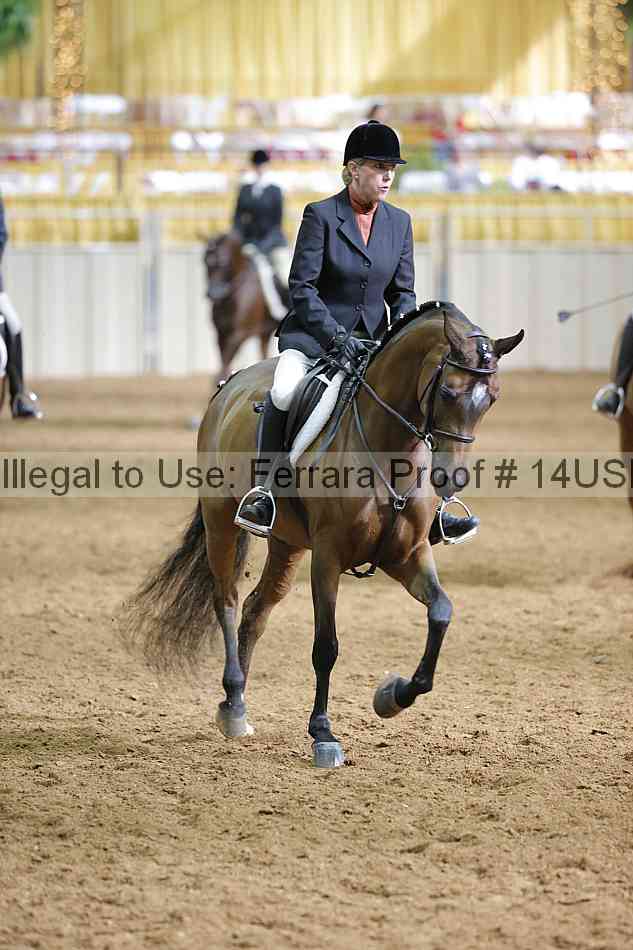 Proof 14usn_16836