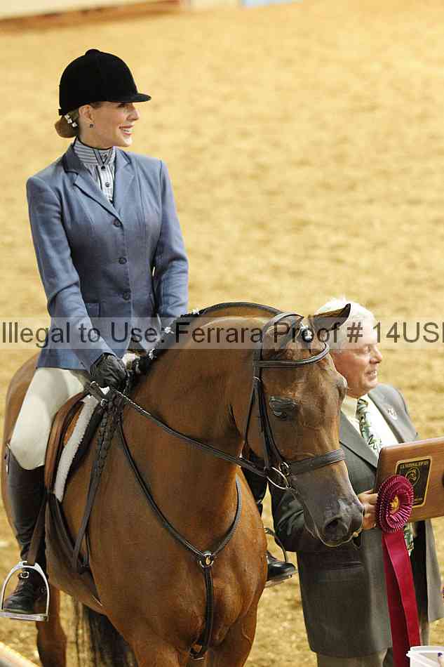 Proof 14usn_27475