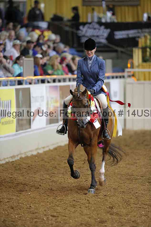 Proof 14usn_27595