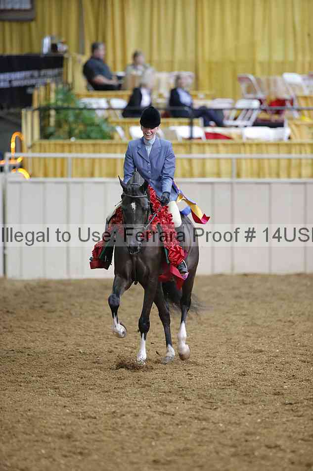 Proof 14usn_27609