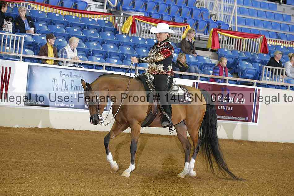 Proof 14usn_02472