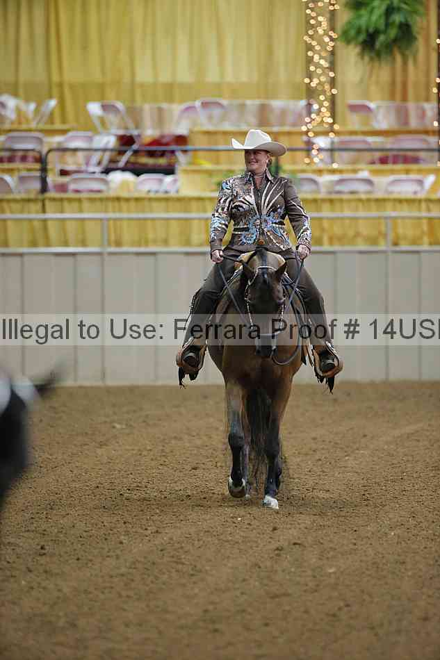 Proof 14usn_02483
