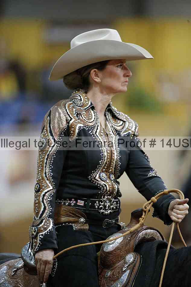 Proof 14usn_02495