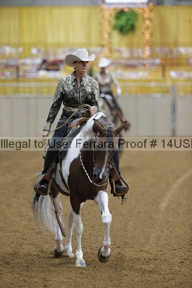 Proof 14usn_02496