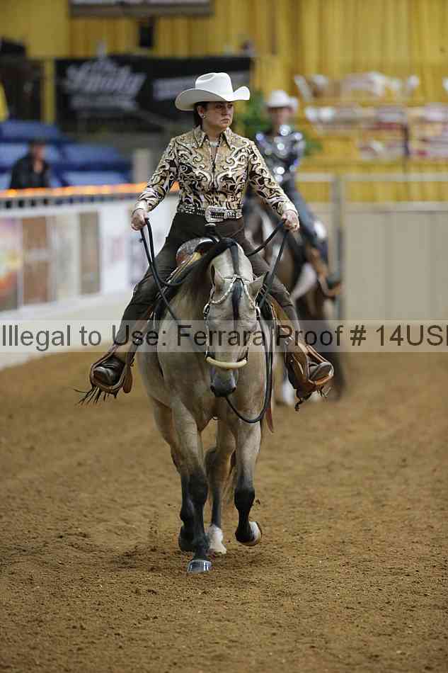 Proof 14usn_02502