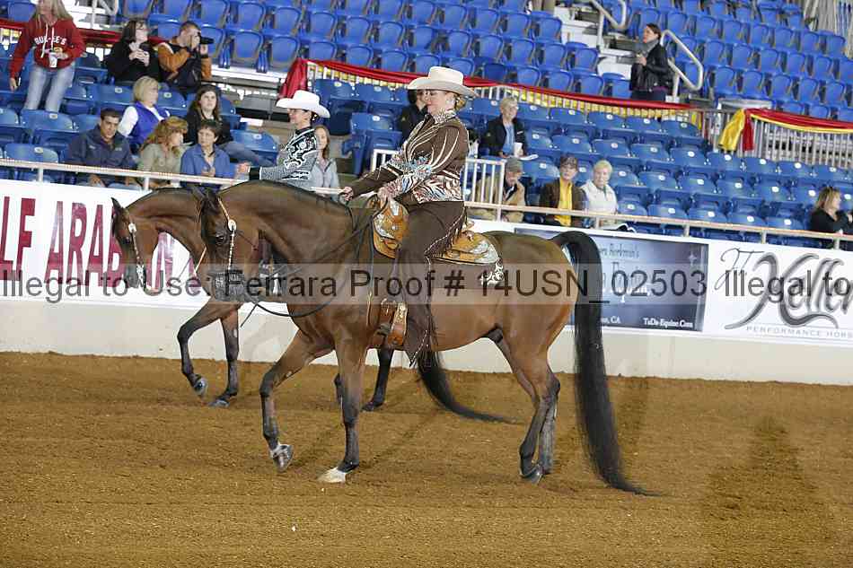 Proof 14usn_02503