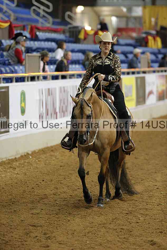 Proof 14usn_02513