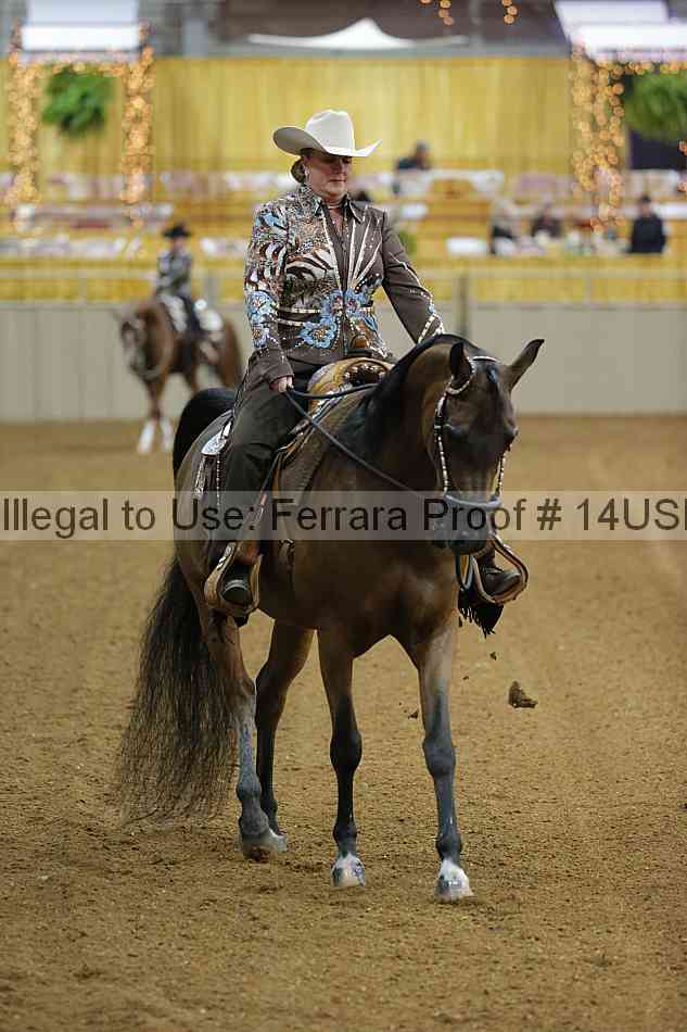 Proof 14usn_02517