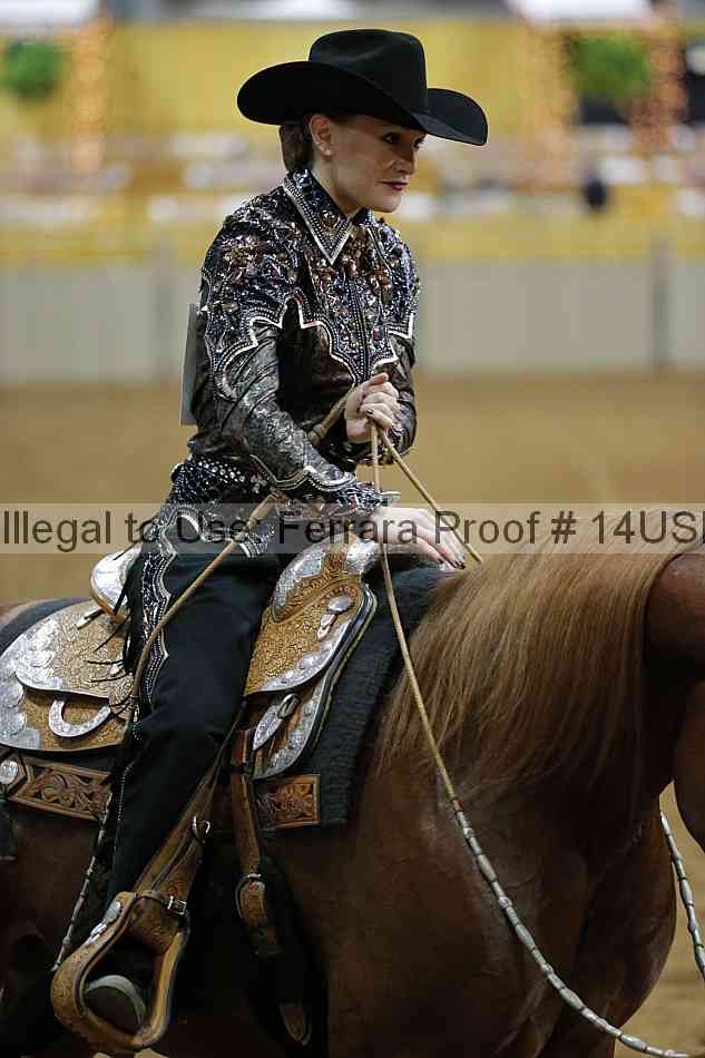 Proof 14usn_02525