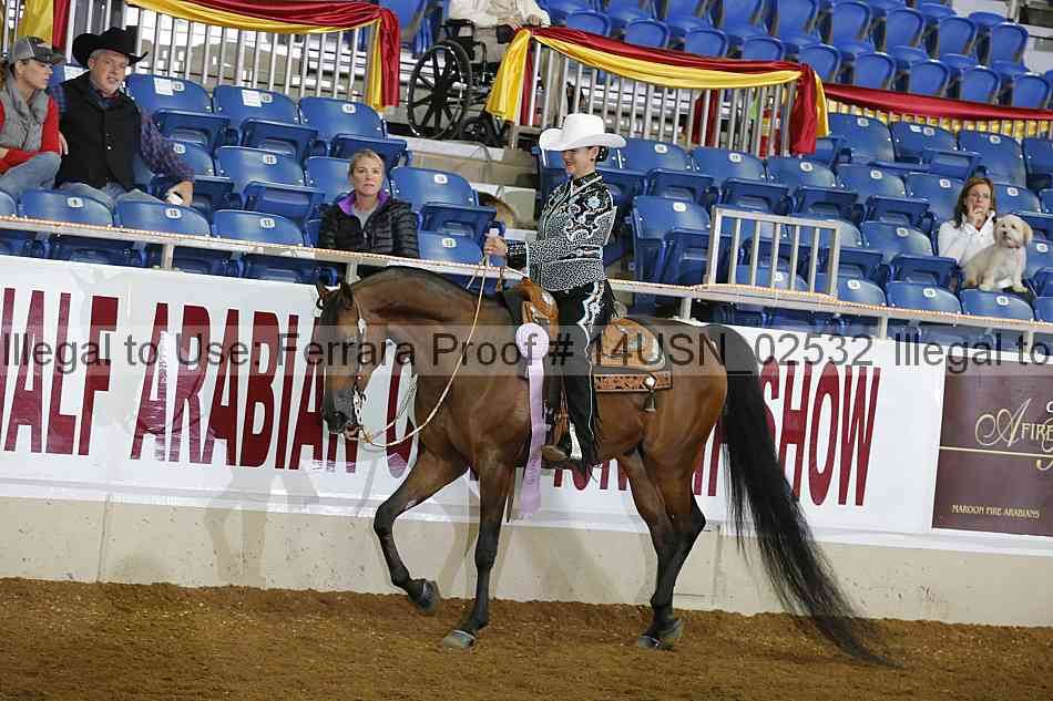 Proof 14usn_02532