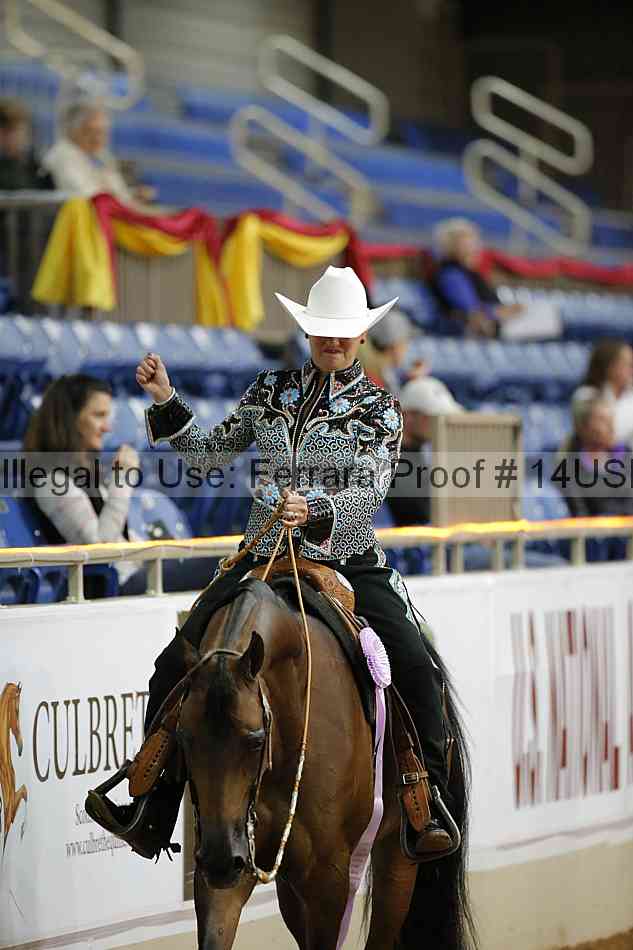 Proof 14usn_02535