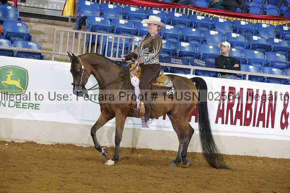 Proof 14usn_02564