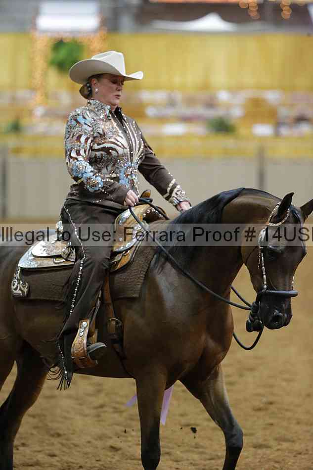 Proof 14usn_02567
