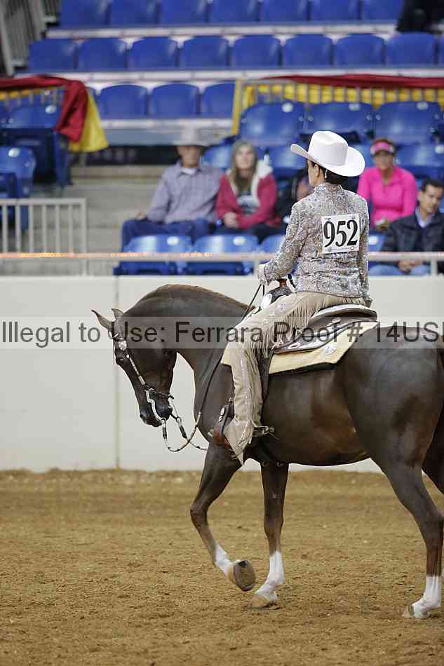 Proof 14usn_02569
