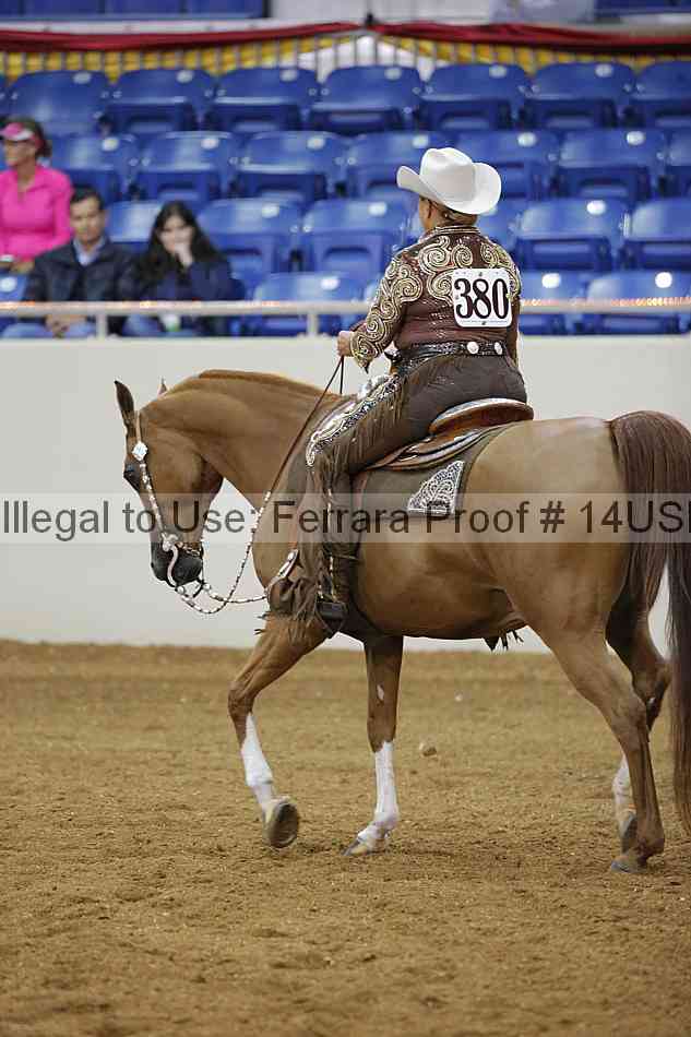Proof 14usn_02582