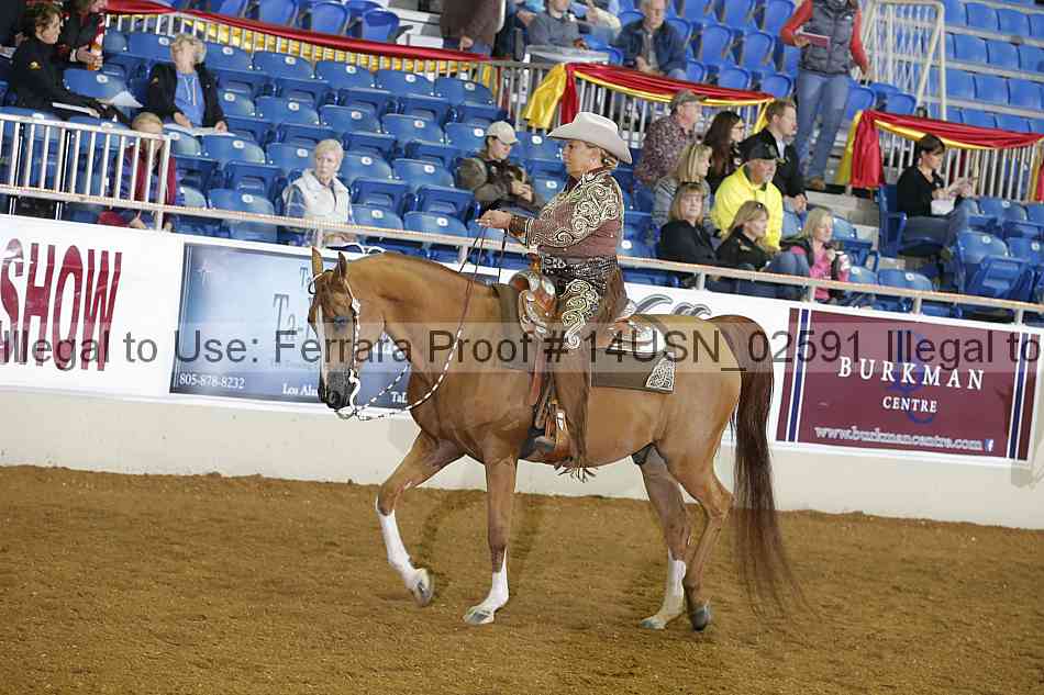 Proof 14usn_02591