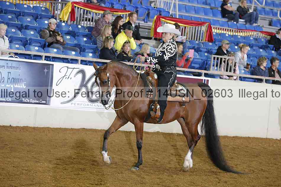Proof 14usn_02603