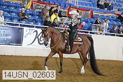 14usn_02603 proof