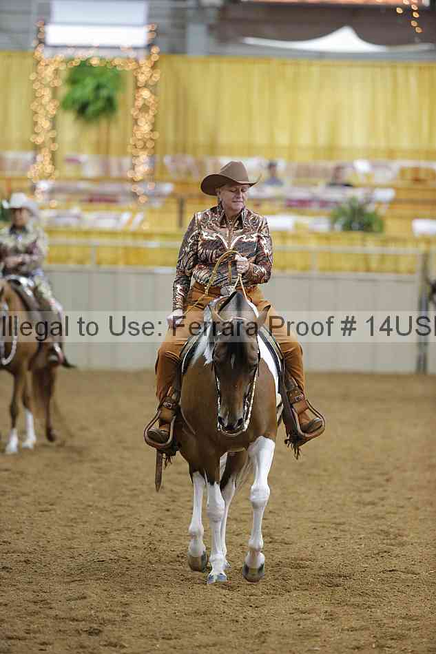 Proof 14usn_02604