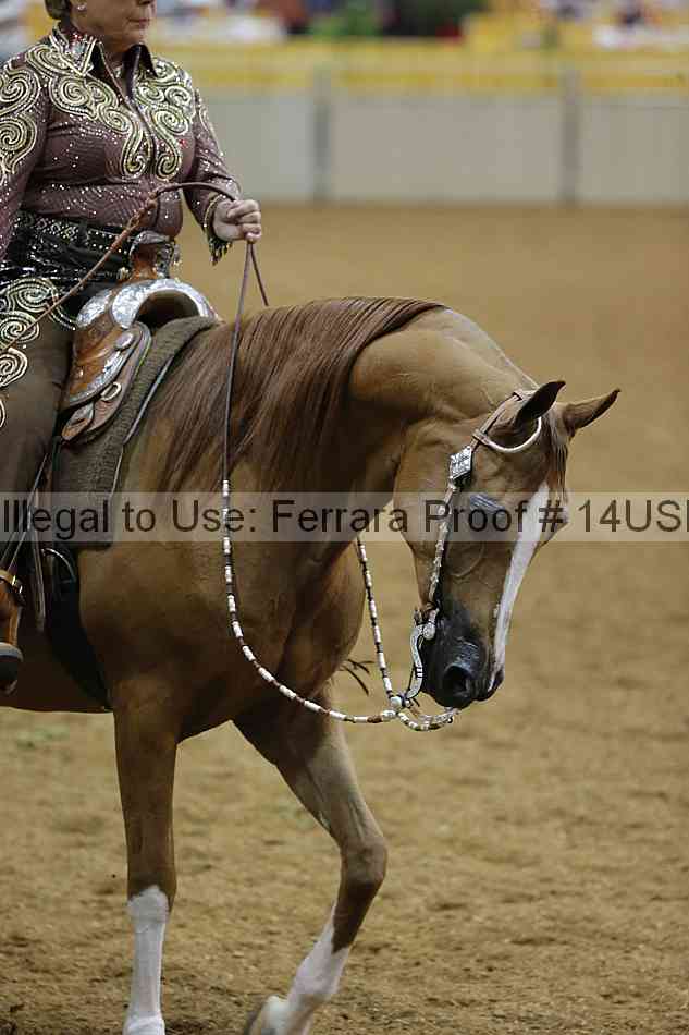 Proof 14usn_02613