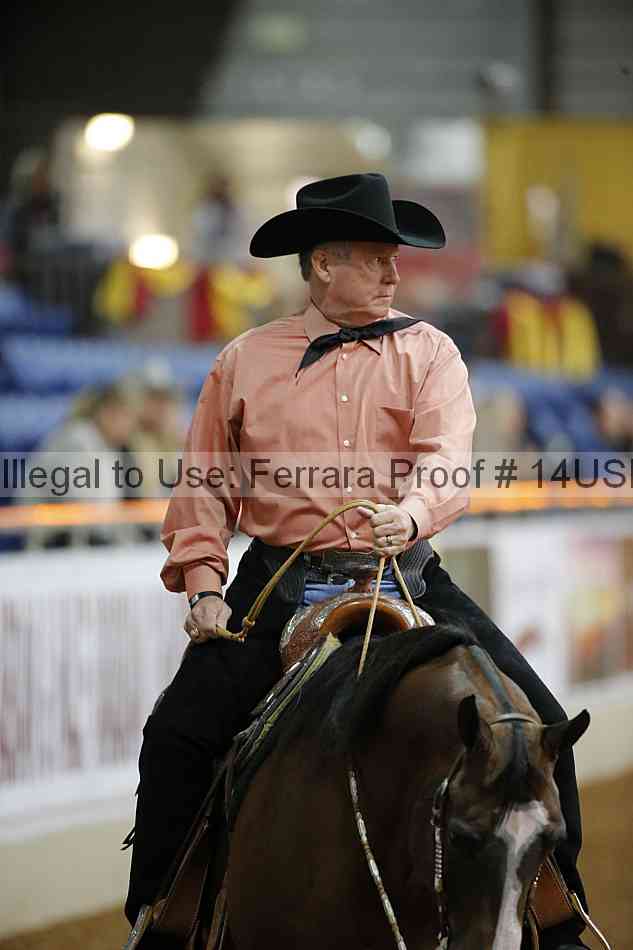 Proof 14usn_02616