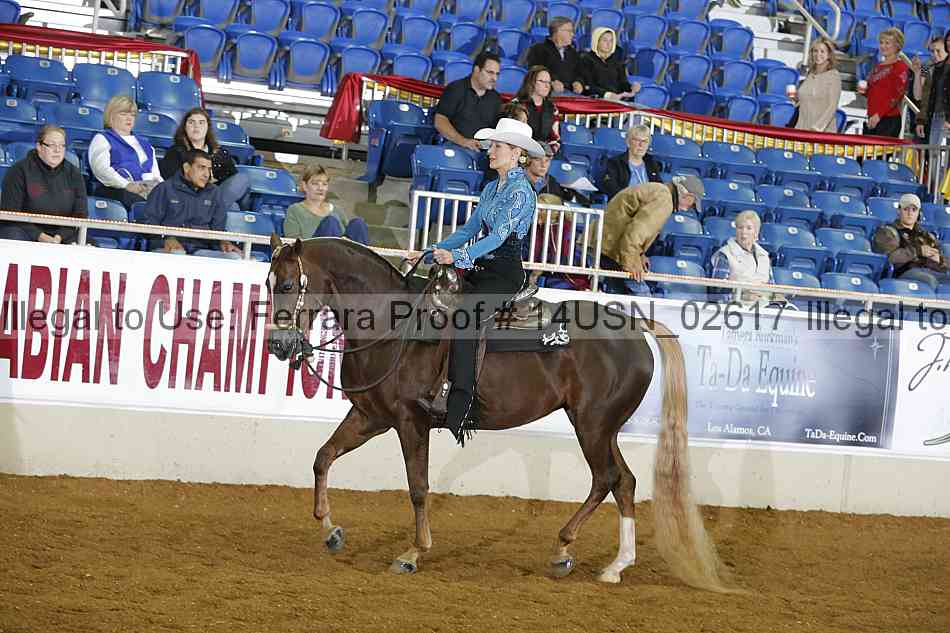 Proof 14usn_02617