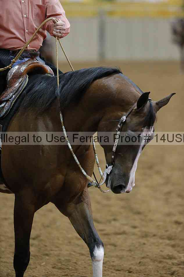 Proof 14usn_02618