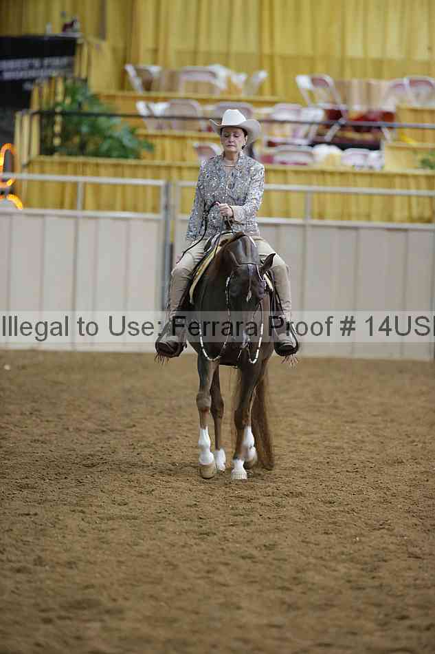 Proof 14usn_02622