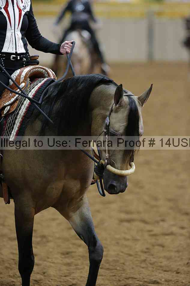 Proof 14usn_02626