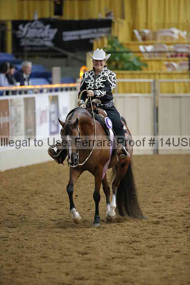 Proof 14usn_02627