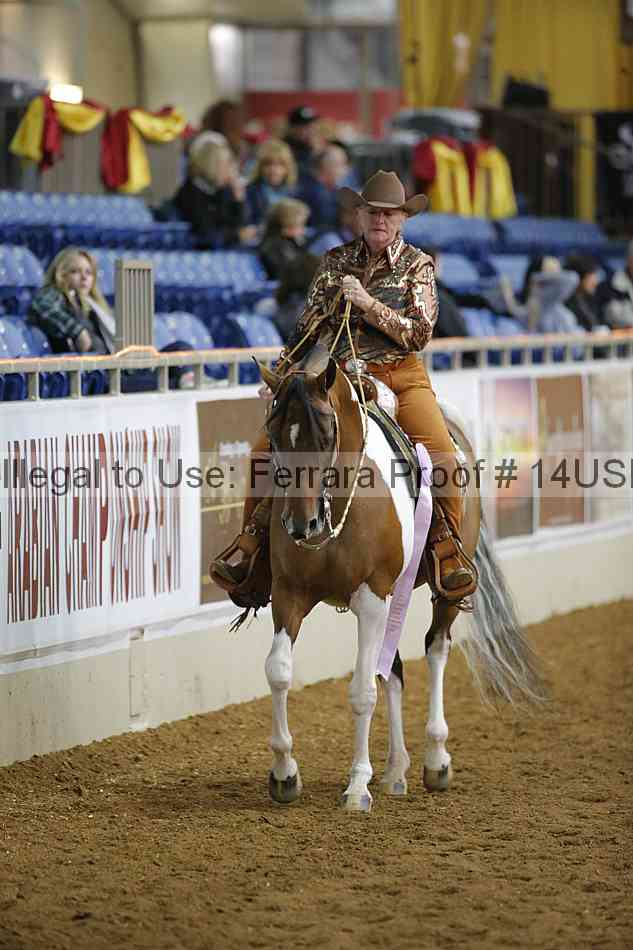 Proof 14usn_02650