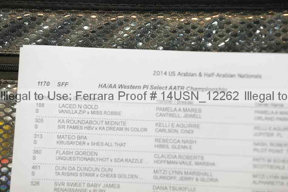 Proof 14usn_12262