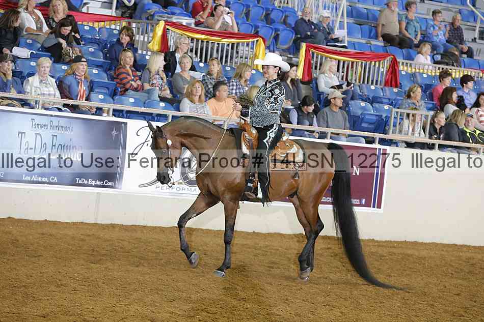 Proof 14usn_12275
