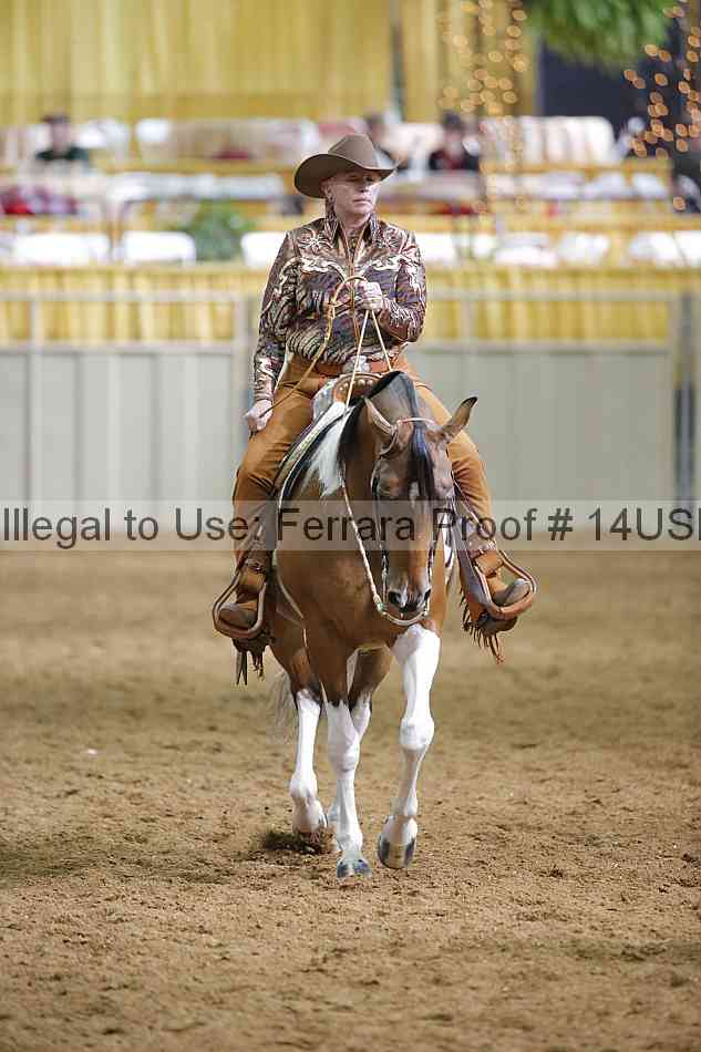 Proof 14usn_12278