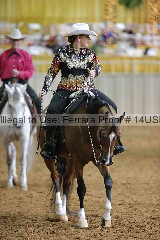 Proof 14usn_12279