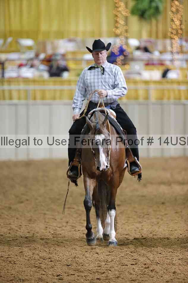 Proof 14usn_12309