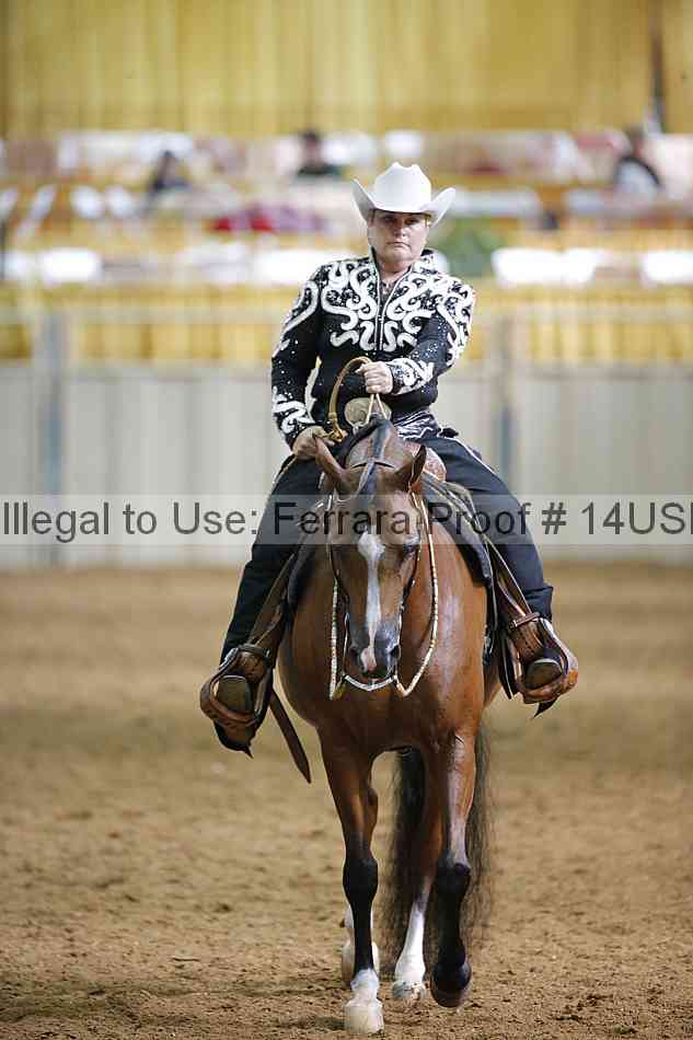 Proof 14usn_12310