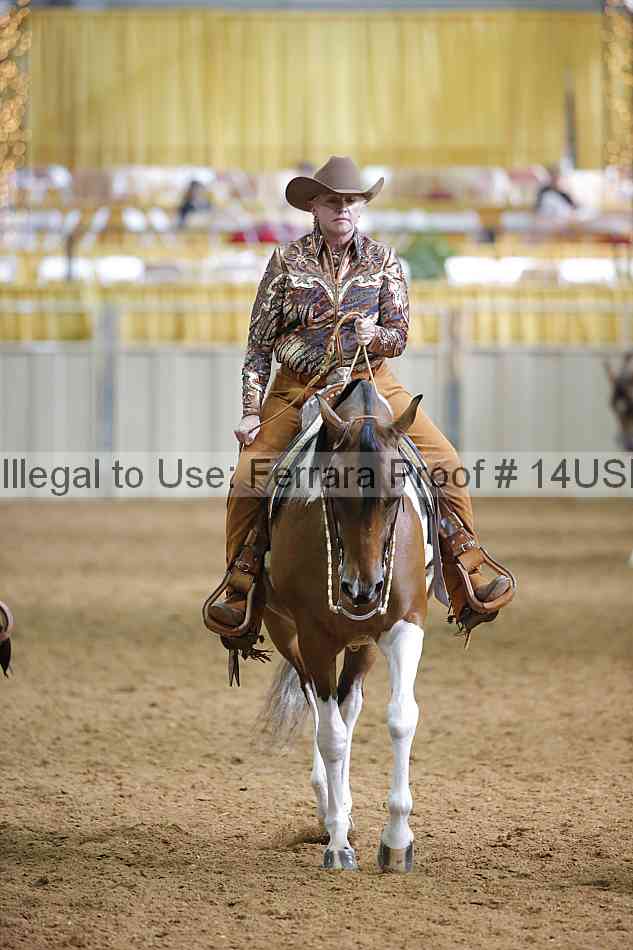 Proof 14usn_12319
