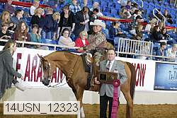 14usn_12323 proof