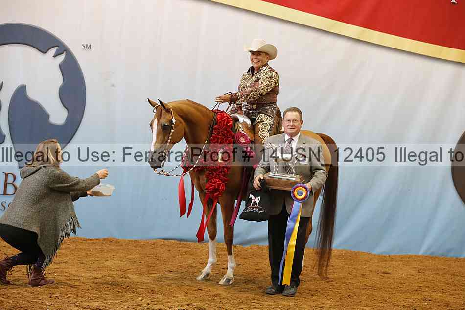 Proof 14usn_12405