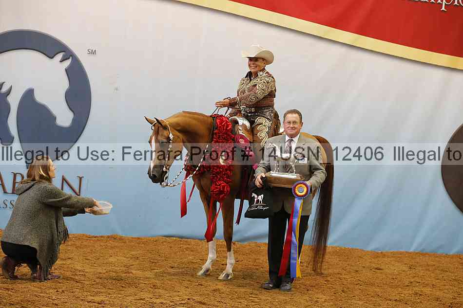 Proof 14usn_12406