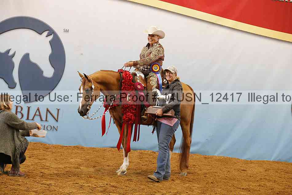 Proof 14usn_12417