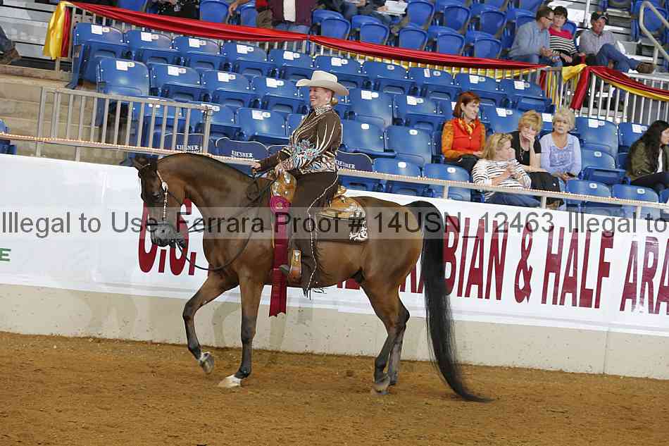 Proof 14usn_12463