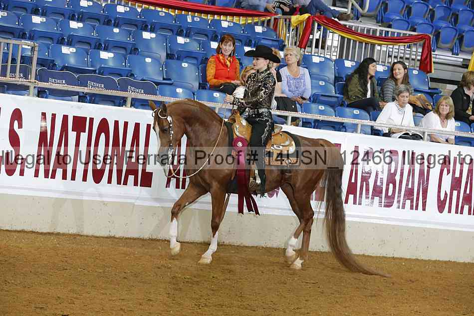 Proof 14usn_12466