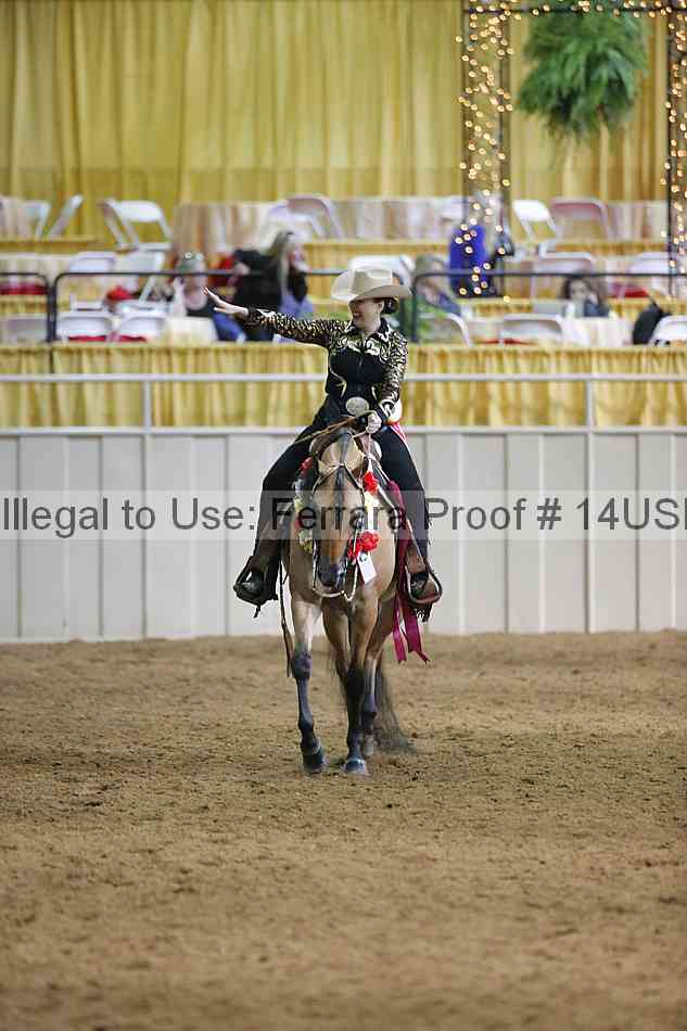 Proof 14usn_12472
