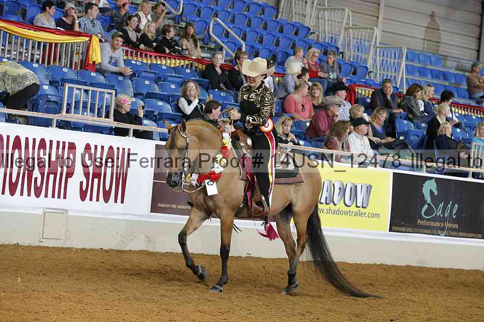 Proof 14usn_12478